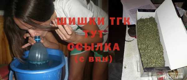 гидра Инсар