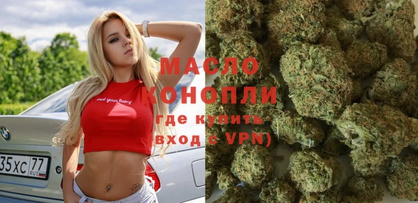 гидра Инсар