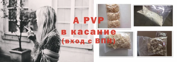 гидра Инсар