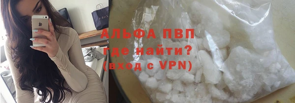 гидра Инсар