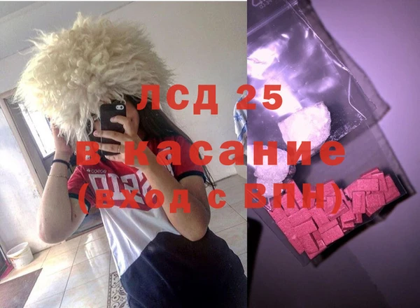 гидра Инсар
