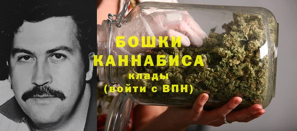 гидра Инсар