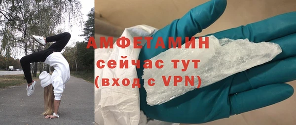 гидра Инсар