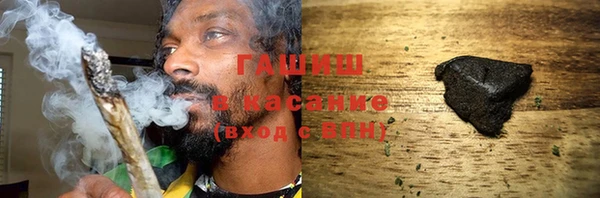 гидра Инсар