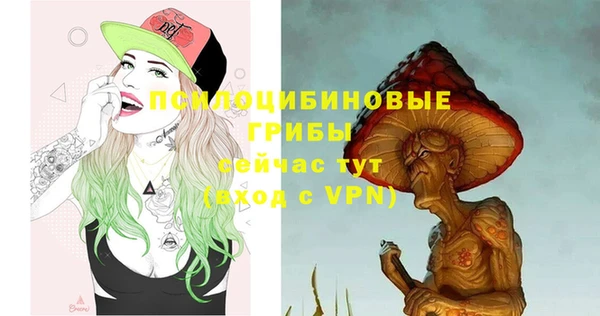 гидра Инсар